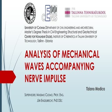 Compr.Analysis of mechanical waves accompanying nerve impulse