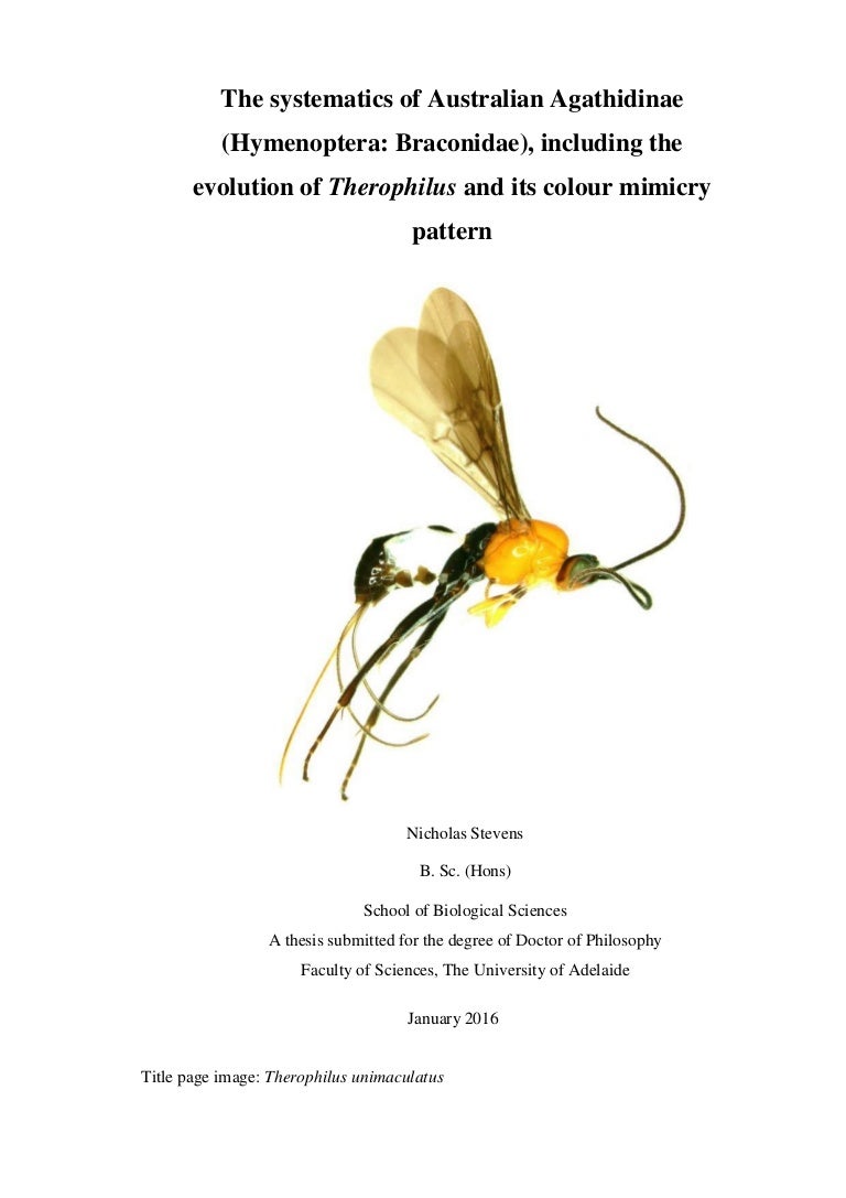 Phd thesis copy