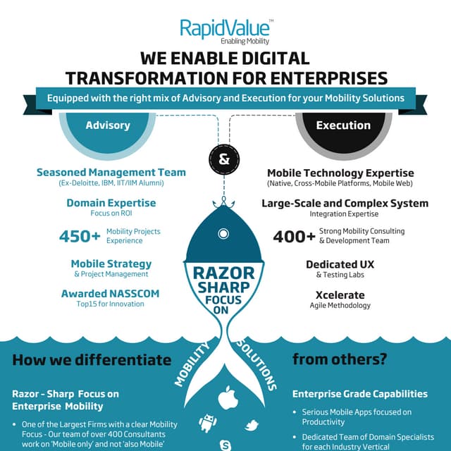 Corporate Infographics - RapidValue Solutions