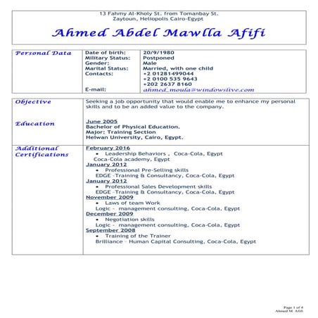 Mohammad Hajj Chehade CV | DOCX