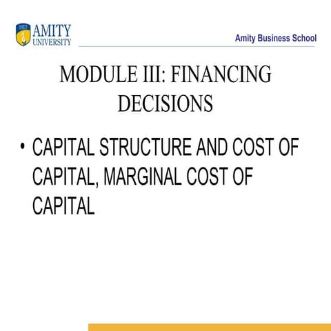 4a304 capital structure