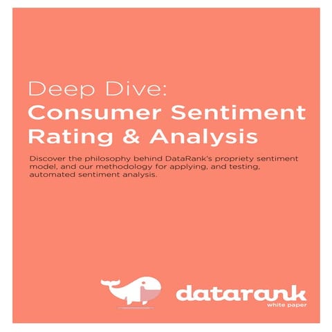 Deep Dive - Consumer Sentiment Rating & Analysis White Paper