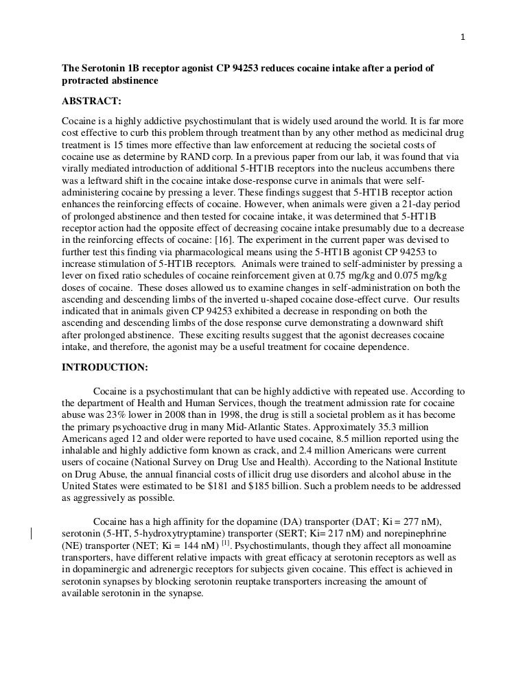Honors thesis vs thesis image