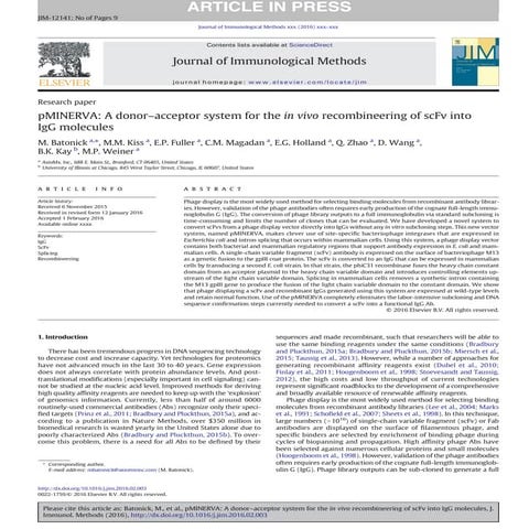 pMINERVA Cloning System