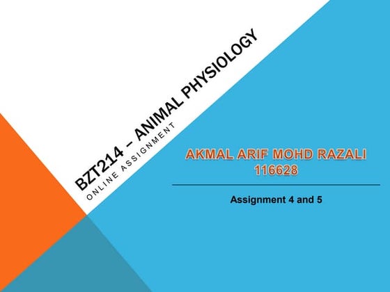 Akmal Razali presentations
