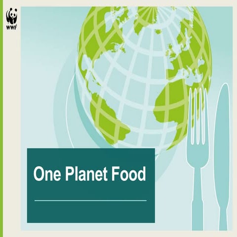 One Planet Food