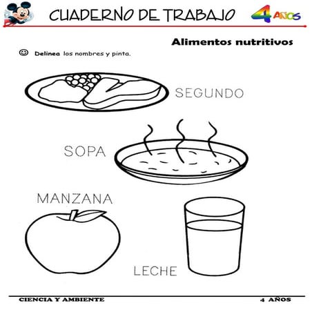 Cuaderno de trabajo II - 4 Años de Ciencia y Ambiente