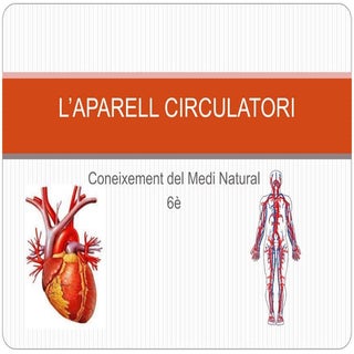 APARELL CIRCULATORI 6è