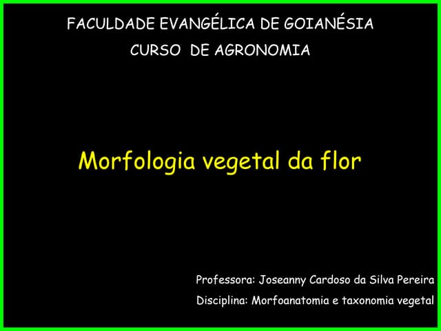 Morfologia vegetal da flor