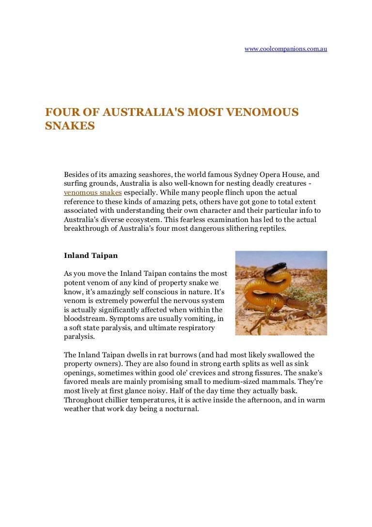 4 Most Venomous Australian Snakes
