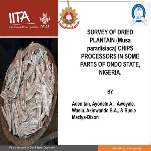 4 ayodele adenitan survey of dried plantain (musa paradisiaca) chips processo...
