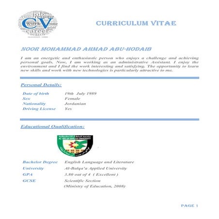 my cv