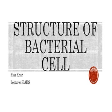  Bacteria cell structure.pptx