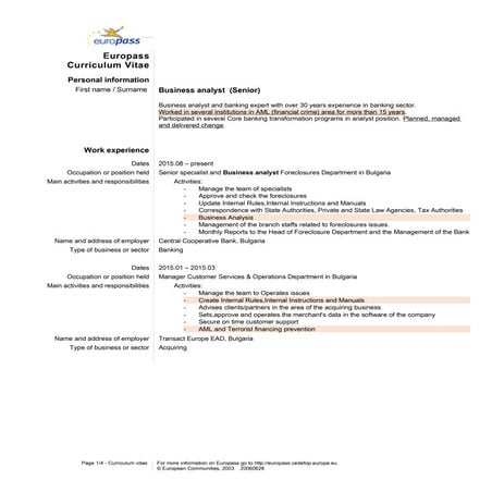 CV Business Analyst  eng 10102016