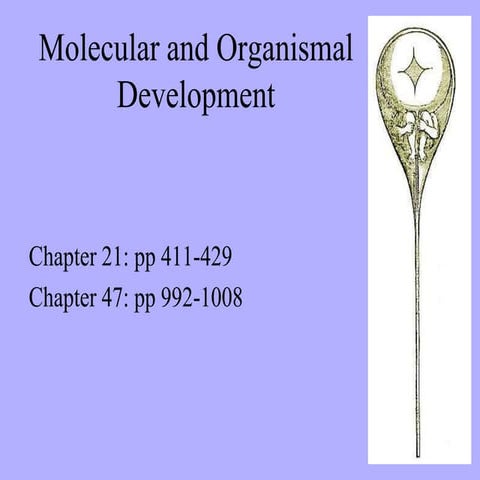 Drosophila Melanogaster Genome And its developmental process | PPT