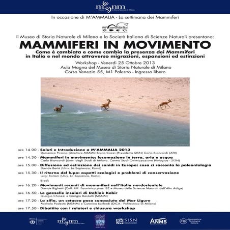 Programma Mammalia 2013