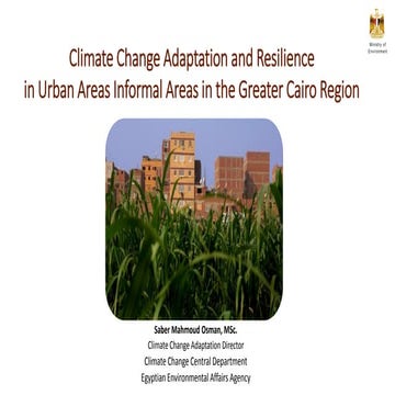 4b Egypt_ Country experience