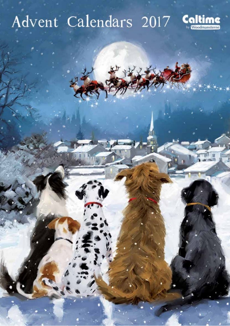 zoe dog advent calendar