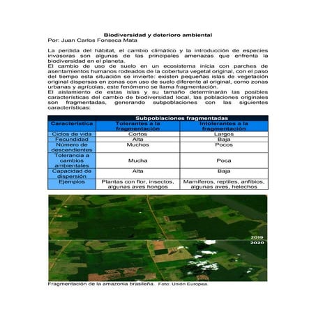 Medio Ambiente: Biodiversidad y Deterioro Ambiental