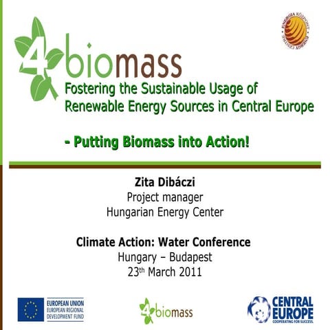 Zita Dibaczi, Hungarian representative for 4BIOMASS