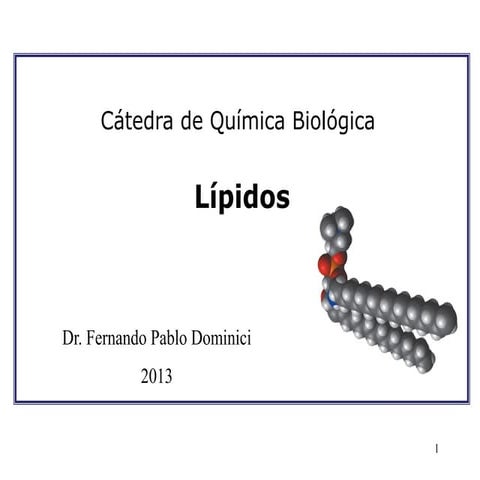4b lípidos
