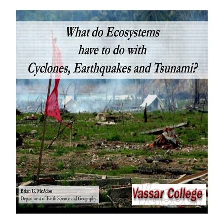 4 brian mc adoo pedrr workshop session 2