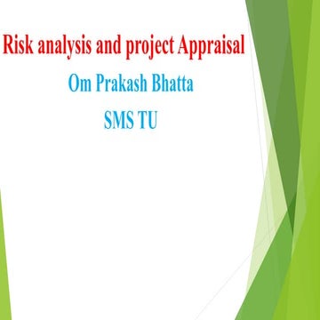 Risk analysis in detail