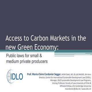 Dra. Marie Cordonier - Carbon Markets