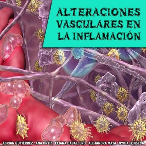 Alteraciones vasculares en la inflamacion