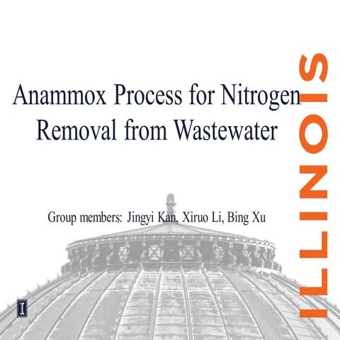 Anammox Process for Nitrogen Removal from Wastewater