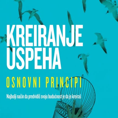 E-book Kreiranje uspeha osnovni principi