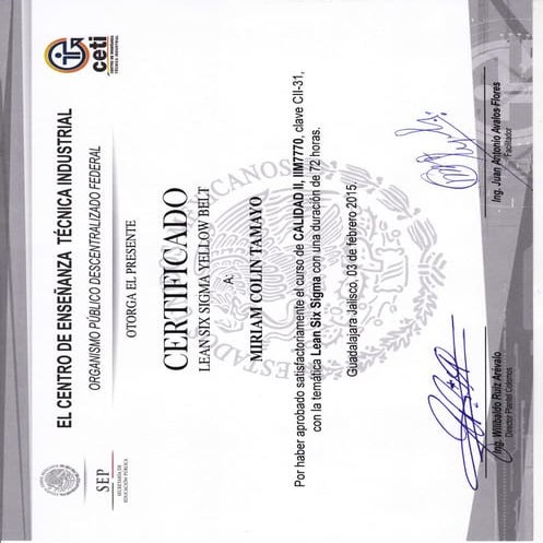 Certificacion_Yellow_Belt