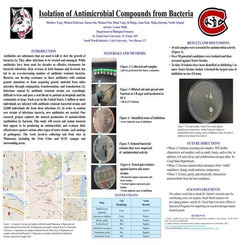 Antibiotic Research Poster (2) | PDF