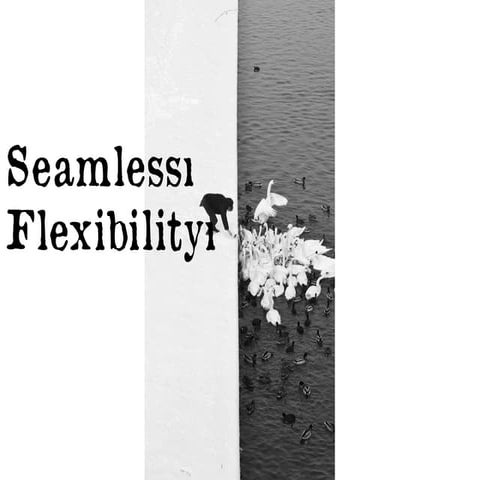 Seamless+Flexibility+v2+pdf.compressed