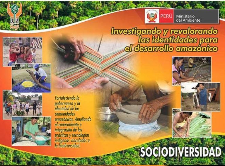 thumbnail of  Conocimientos tradicionales del pueblo Urarina vinculados a los ecosistemas de humedales