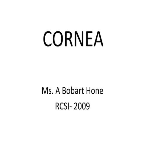 Cornea