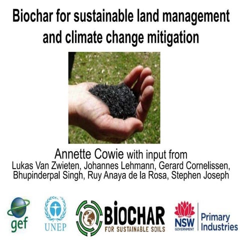 Biochar for sustainable land management and climate change mitigation ...