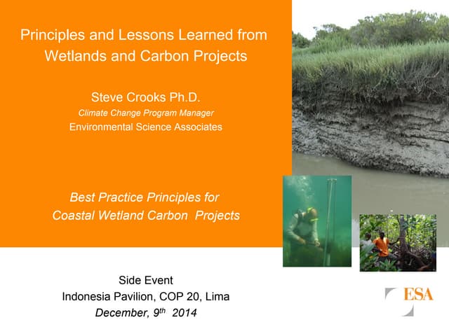 Principles and Lessons Learned from Wetlands and Carbon Projects