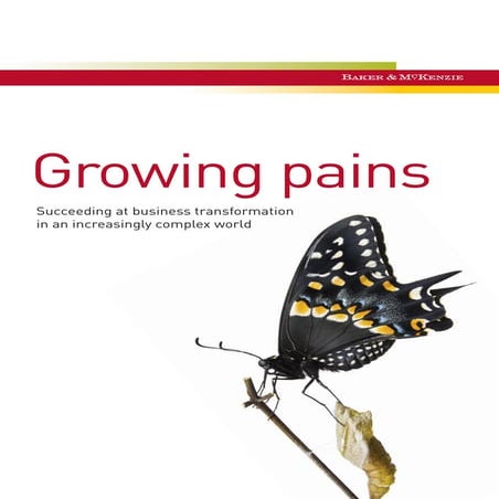 br_ma_businesstransformations_jan2015