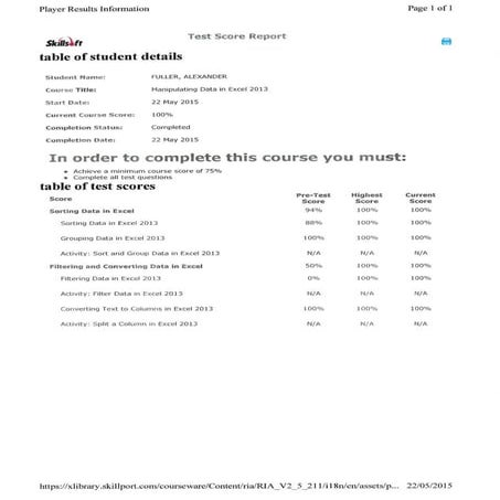 Manipulating Data in Excel 2013