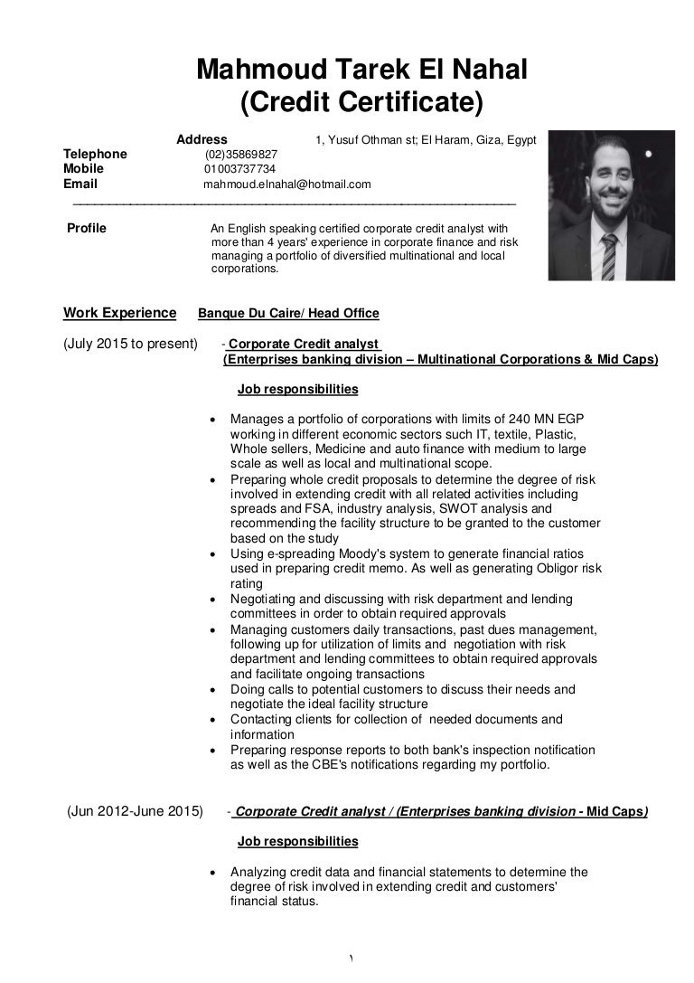 mahmoud cv (2)