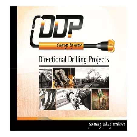 DDP PROFILE | PDF