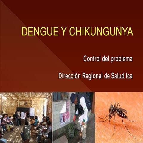 4d dengue y chikungunya