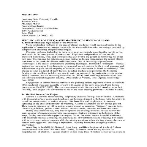 LSU Project Outline 032104