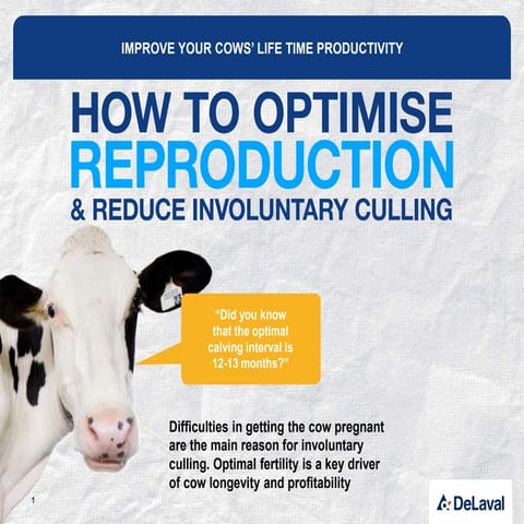 Pregnancy and reproduction in dairy cows