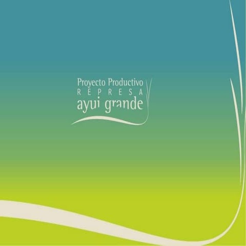 Audiencia Pública 04/12/2009 - Dr. Angel Menéndez