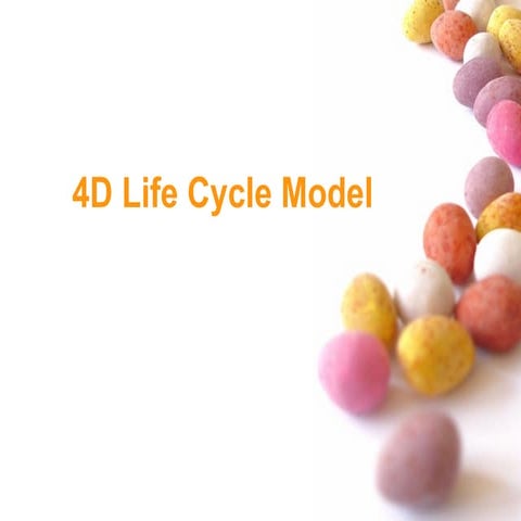 4D Life Cycle