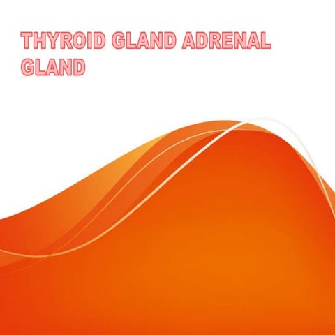 № 4  аdrenal and thyroid gland ppt new