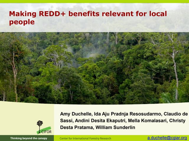 Making REDD+ benefits relevant for local people 