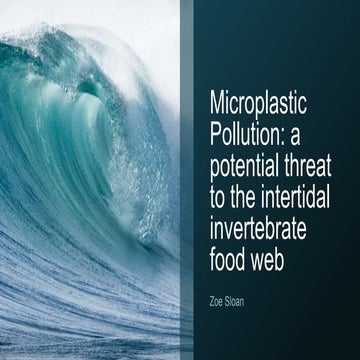 Microplastics | PPTX